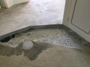absolute-floor-stripping-Concrete Cutting and Slab Removal-6355